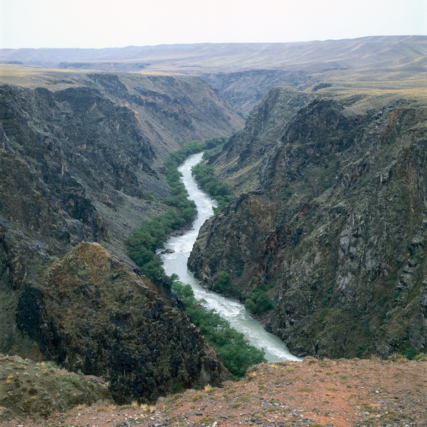 Charyn06.jpg