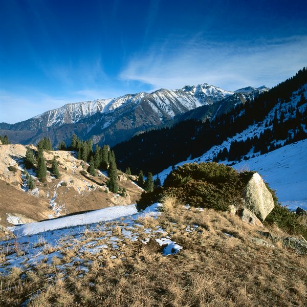 hills03.jpg