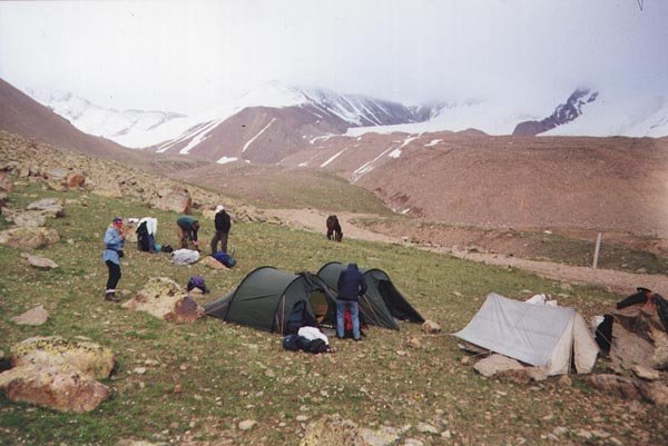 Camping. Horseback Riding