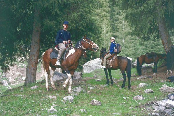 pferd04.jpg