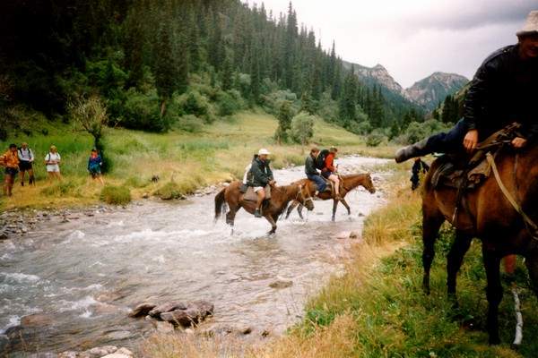 pferd06.jpg