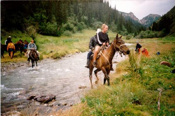 pferd07.jpg