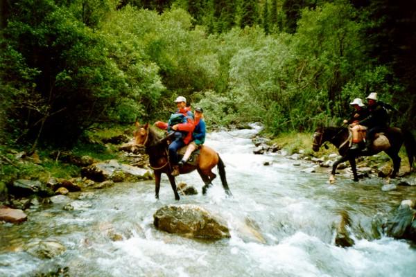 pferd08.jpg