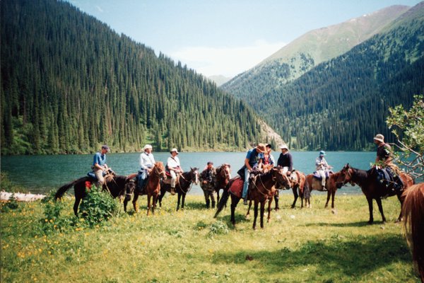 pferd11.jpg