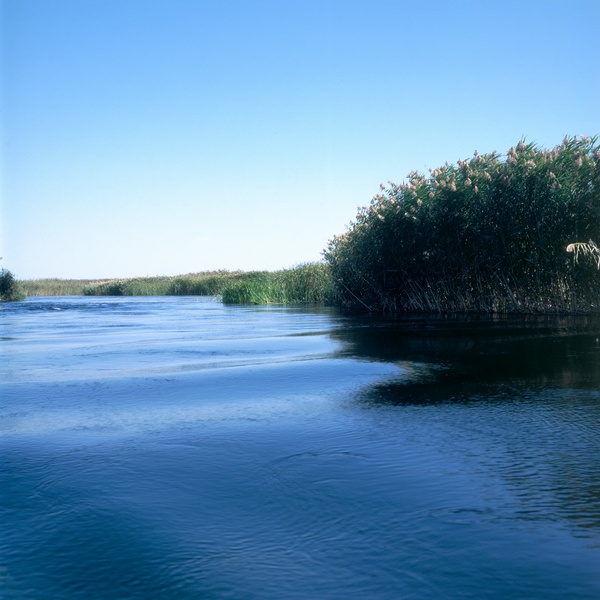 river05.jpg