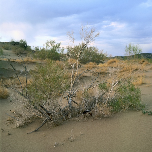 sand02.jpg